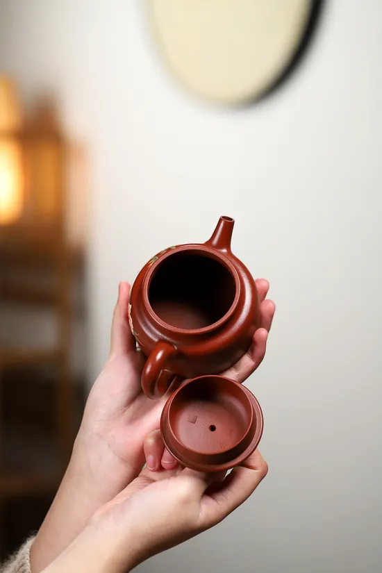 楊鵬老師全手工德鐘紫砂壺大紅袍 2