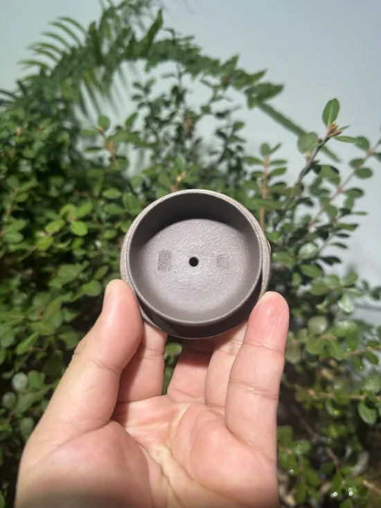 平蓋石瓢紫砂壺｜陳贇實力派作品 1