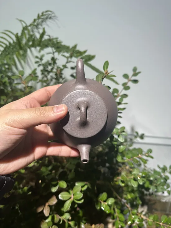 平蓋石瓢紫砂壺｜陳贇實力派作品 2