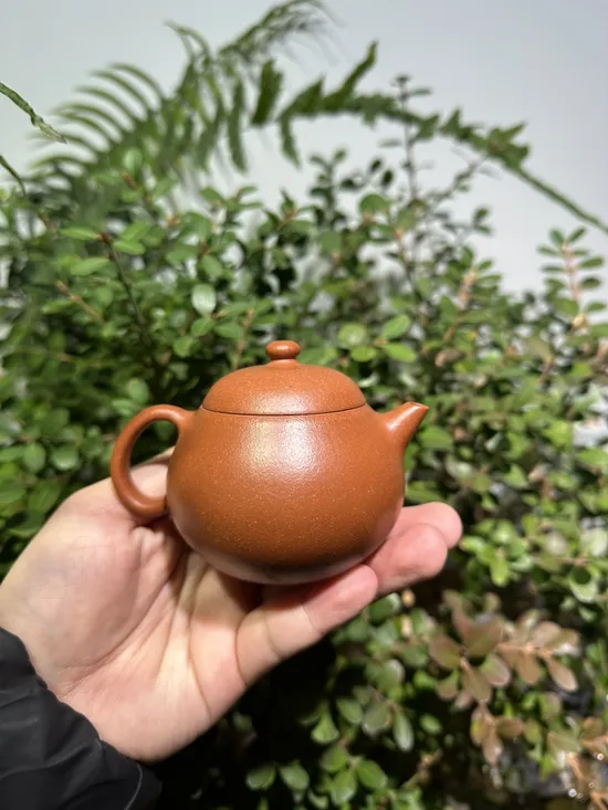 文旦紫砂壺 吳曙明手工製作 降坡泥160cc 1