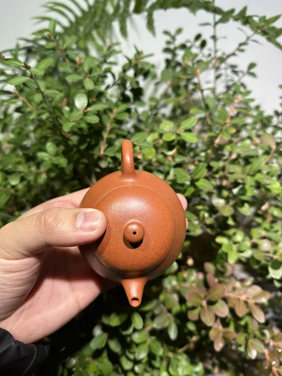 文旦紫砂壺 吳曙明手工製作 降坡泥160cc 2