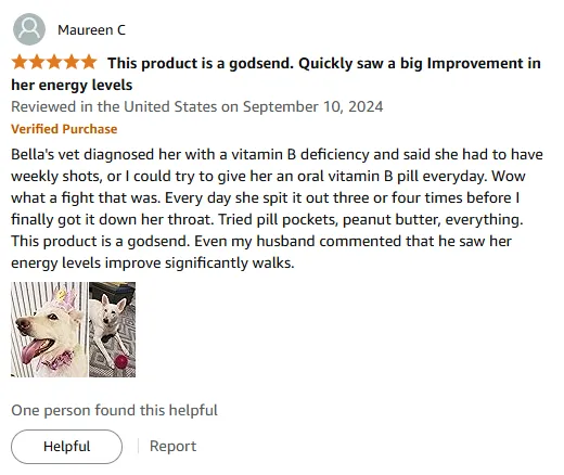 I Dramatically Improved My Dog's Walks With Pet Vitamin B