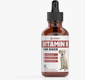 I Dramatically Improved My Dog's Walks With Pet Vitamin B